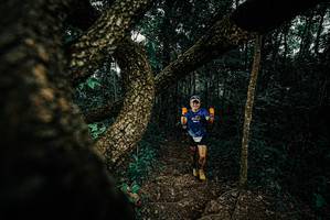 BIB: 
                            <button type="button" onclick="openModal(25693780)" class="btn btn-primary btn-sm float-right btn-popup" data-toggle="modal" data-target=".modal-high-quality">
                        <i class="fas fa-shopping-cart"></i> Add to Cart
                    </button>
                                            <button type="button" onclick="isThisMe(25693780, true)" class="btn btn-success btn-sm float-right btn-popup btn-isme hidden" data-toggle="tooltip" data-placement="bottom" title="นี่คือรูปของคุณใช่ไหม คลิกที่นี่เพื่อเอาเข้าอัลบั้ม">
                        <i class="fas fa-plus"></i> Add to album
                    </button>
                    <button type="button" onclick="isThisMe(25693780, false)" class="btn btn-warning btn-sm float-right btn-popup btn-isnotme hidden">
                        <i class="fas fa-ban"></i> Remove from album
                    </button>